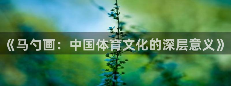 意昂5Kgame包怎么样：《马勺画：中国体育文化的深层意义》