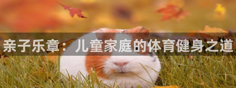 意昂5Kgame体育在线注册：亲子乐章：儿童家庭的体育健身之道