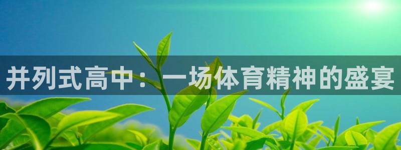 意昂5Kgame官网入口：并列式高中：一场体育精神的盛宴