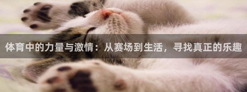 意昂5Kgame体育3在线注册：体育中的力量与激情：从赛场到生活，寻找真正的乐趣