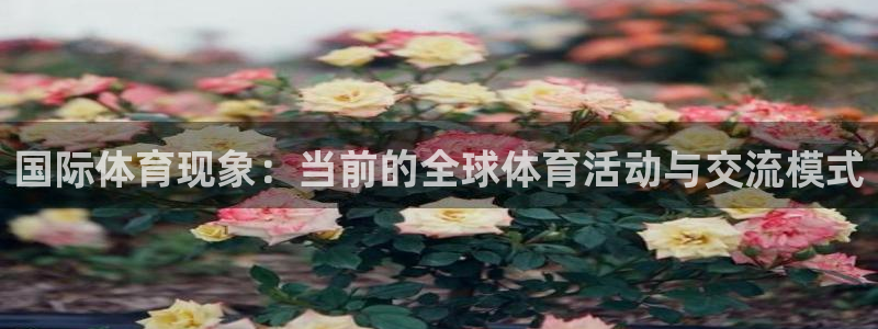 意昂5Kgame体育凯捷代理注册：国际体育现象：当前的全球体育活动与交流模式