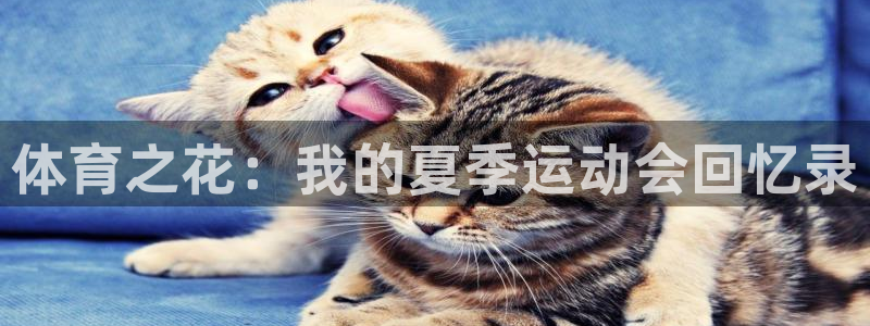 意昂5Kgame5招商：体育之花：我的夏季运动会回忆录