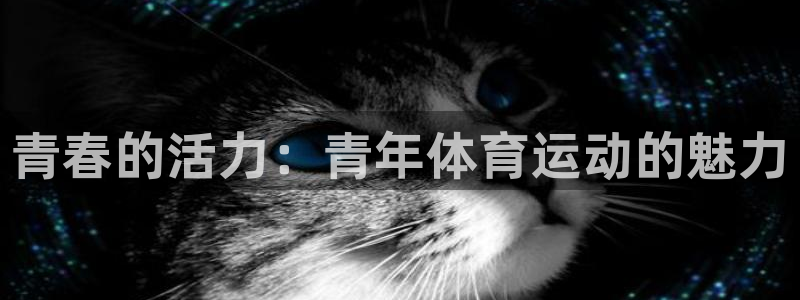 意昂5Kgame代理注册官网入口：青春的活力：青年体育运动的魅力