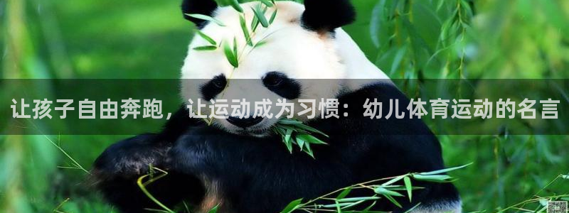 意昂5Kgame体育论坛：让孩子自由奔跑，让运动成为习惯：幼儿体育运动的名言