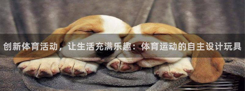 意昂5Kgame体育在线注册：创新体育活动，让生活充满乐趣：体育运动的自主设计玩具