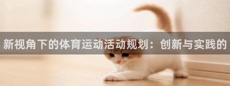 意昂5Kgame体育平台开号链接：新视角下的体育运动活动规划：创新与实践的