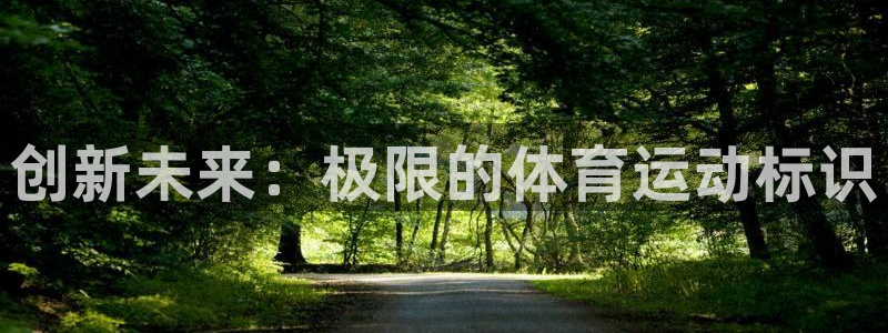 意昂5Kgame2登录：创新未来：极限的体育运动标识