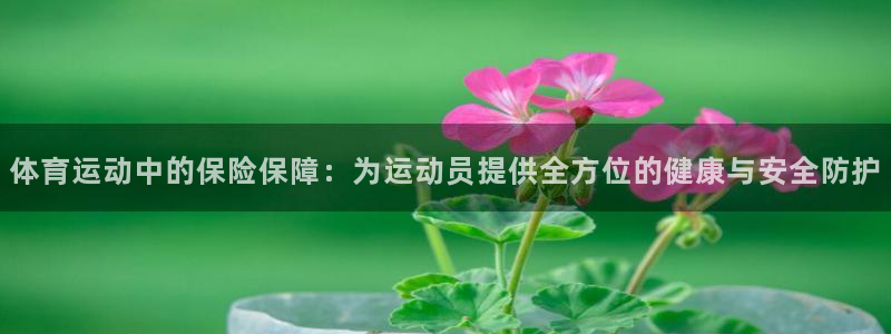 意昂5Kgame招商：体育运动中的保险保障：为运动员提供全方位的健康与安全防护