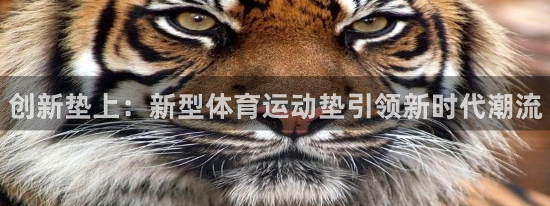 意昂5Kgame包怎么样：创新垫上：新型体育运动垫引领新时代潮流