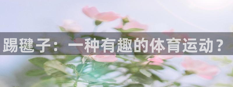 东莞市意昂5Kgame电子科技有限公司：踢毽子：一种有趣的体育运动？