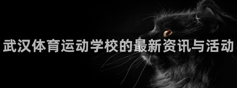 意昂5Kgame4代理：武汉体育运动学校的最新资讯与活动