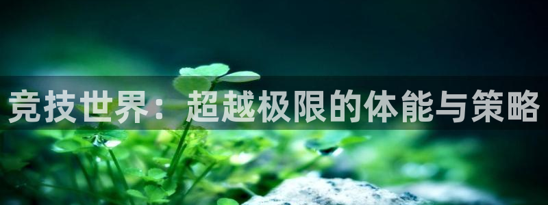 意昂5Kgame凯捷平台：竞技世界：超越极限的体能与策略