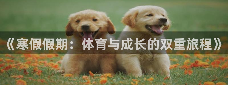 意昂5Kgame凯捷开号链接：《寒假假期：体育与成长的双重旅程》