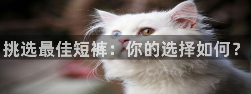 意昂5Kgame代理：挑选最佳短裤：你的选择如何？