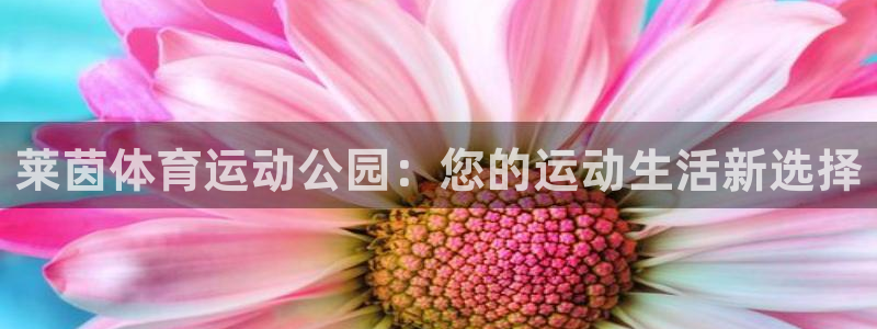意昂5Kgame凯捷注册：莱茵体育运动公园：您的运动生活新选择
