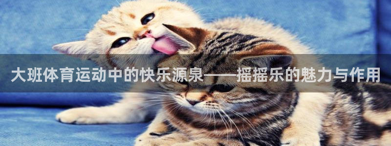 佛山市南海意昂5Kgame机电仪器有限公司：大班体育运动中的快乐源泉——摇摇乐的魅力与作用