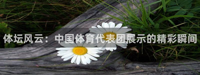 意昂5Kgame包怎么样：体坛风云：中国体育代表团展示的精彩瞬间