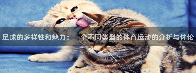 意昂5Kgame2注册：足球的多样性和魅力：一个不同类型的体育运动的分析与讨论