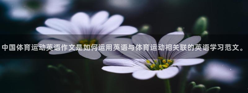 意昂5Kgame凯捷平台注册链接：中国体育运动英语作文是如何运用英语与体育运动相关联的英语学习范文。
