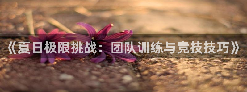 意昂5Kgame电子有限公司：《夏日极限挑战：团队训练与竞技技巧》
