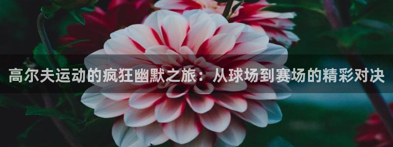 意昂5Kgame包怎么样：高尔夫运动的疯狂幽默之旅：从球场到赛场的精彩对决