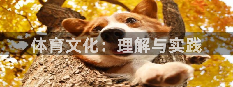 意昂5Kgame能源：体育文化：理解与实践