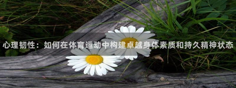 意昂5Kgame体育注册：心理韧性：如何在体育运动中构建卓越身体素质和持久精神状态