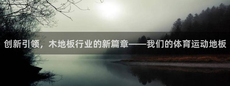 意昂5Kgame集团股票s：创新引领，木地板行业的新篇章——我们的体育运动地板