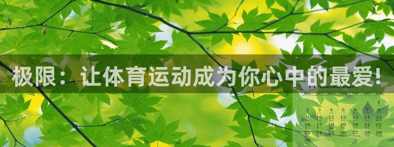意昂5Kgame4开户：极限：让体育运动成为你心中的最爱!