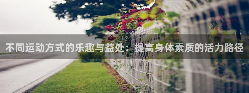 意昂5Kgame3登陆：不同运动方式的乐趣与益处：提高身体素质的活力路径